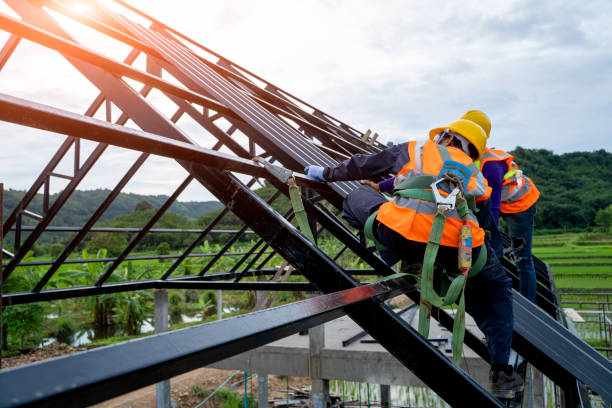 Best Storm Damage Roof Repair  in Hidalgo, TX