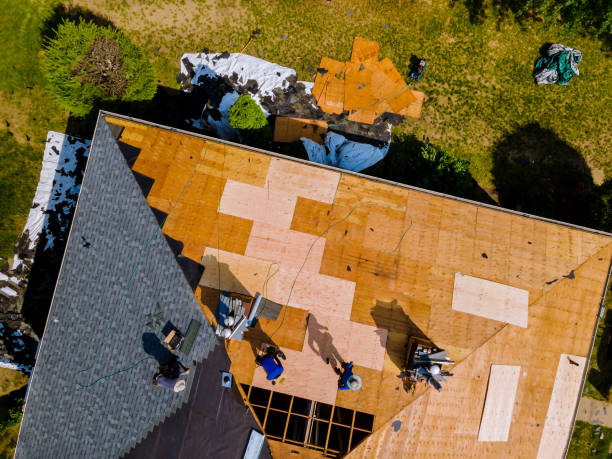 Best Roof Waterproofing Services  in Hidalgo, TX